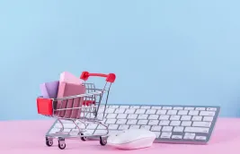 e-Commerce Campaign SEO