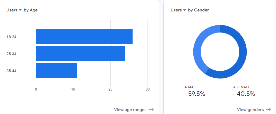 demographic audience